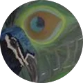 Shannon Phillips Avatar